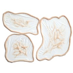 Burns Prosthetic Set