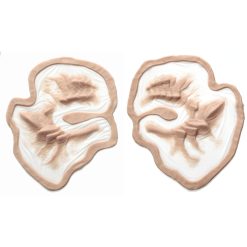 Dragon Brows Prosthetic Set