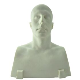Head Armature