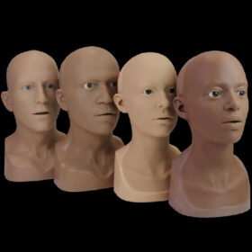 Anatomically Correct Heads