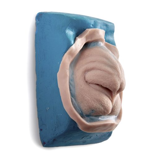 Werewolf Nose Prosthetic - Image 2
