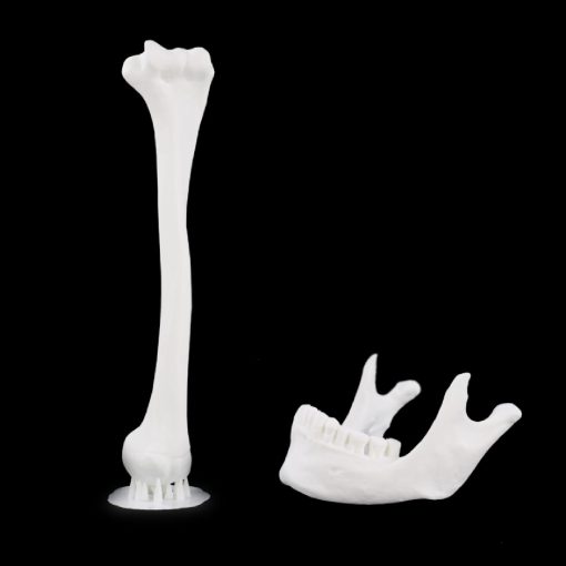 Liqcreate Premium White Resin - Image 2