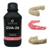 AmeraLabs GVA-26 Gingiva Mask Resin